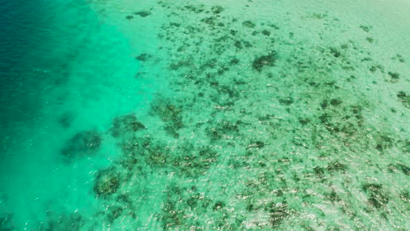 Transparent Blue Sea Water in the Lagoon