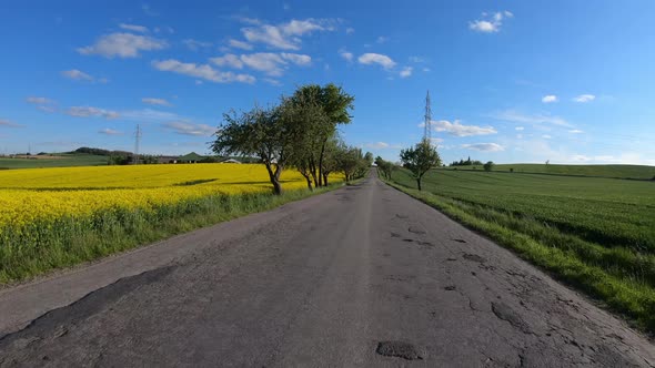 Car drive in spring countryside road