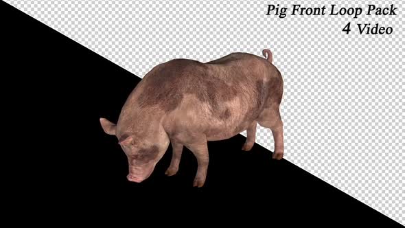 Pig Front View Pack 