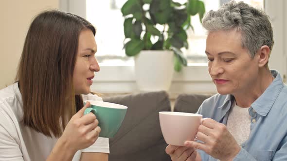 Cheerful Women of Different Ages Drink Tea or Coffee While Sitting on the Sofa in the Living Room