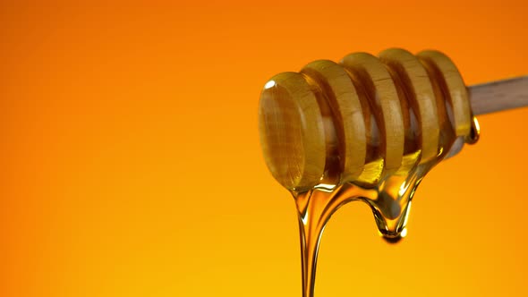 Super Slow Motion Shot of Dripping Honey at 1000Fps.