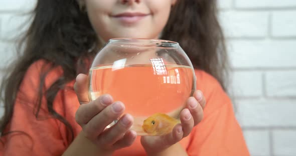 Fish Friend From Aquarium