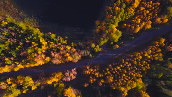 Aerial Flight Over the Road Between Forests. Autumn Colors