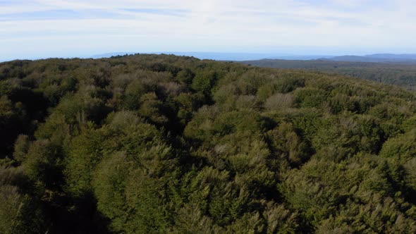 Aspromonte Mountain