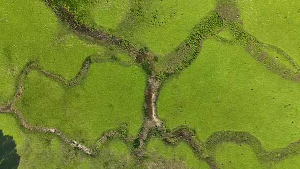 farm, green, nature, landscape, grass, aerial view, agriculture, tourism, vineyard, grape, rural, ou