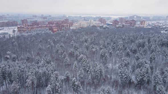 Aerial view of a snow-covered magical pine forest.