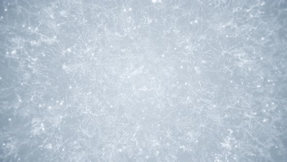 White Frost Winter Background