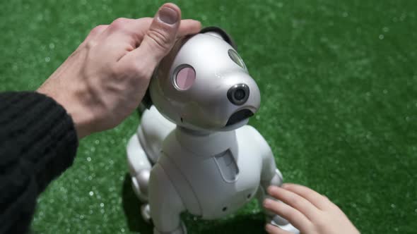 Innovative Robot Dog Performing Program