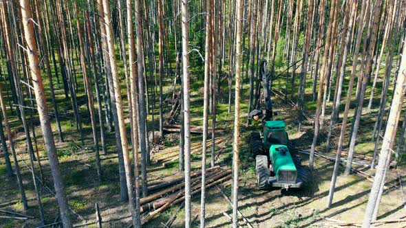 Working Tractor Chops Trees in a Forest. Environmental Problem Deforestation, Logging.