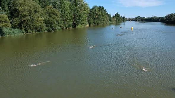 Swimming competition on the river