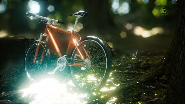 Mountain Bike on the Forest Path alt