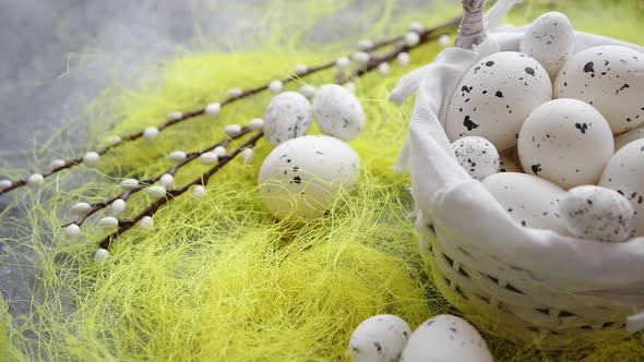 Easter White Dotted Eggs in the Nest and Spring Yellow Grass