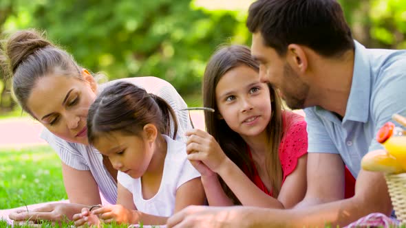 Family Lying on Picnic Blanket in Summer Park