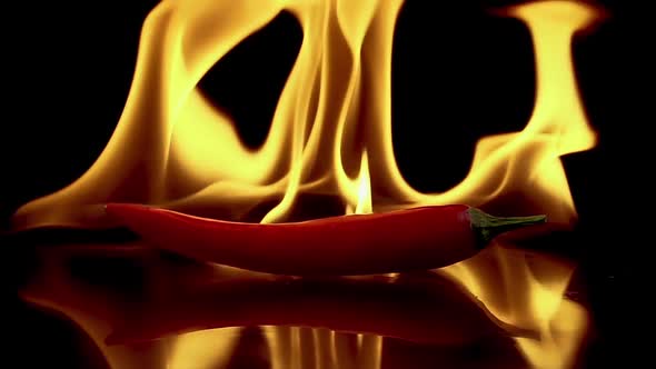 Hot Red Chili Pepper in Flames