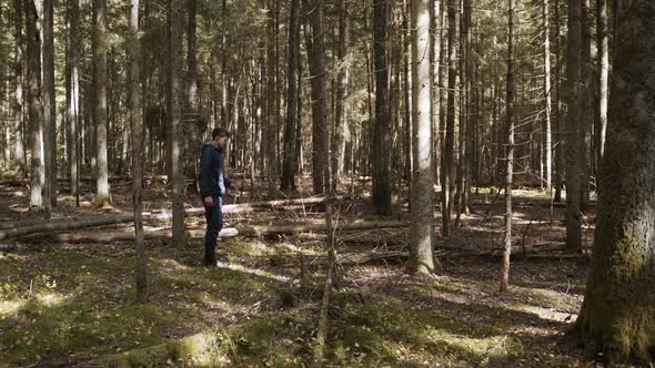 Man Knocks Down Trunk of Dried Tree with Foot Breaks a Log in Forest