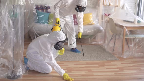 Two Exterminators Are Engaged in Cleaning