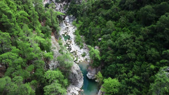 Wild Mountain River is Flowing Through Stones Among Green Forest Filmed From Above By Drone