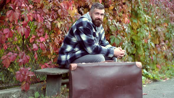 Young Handsome Male with Beard and Mustache. Handsome Autumn Serious Man Model in Park. Autumn Mood