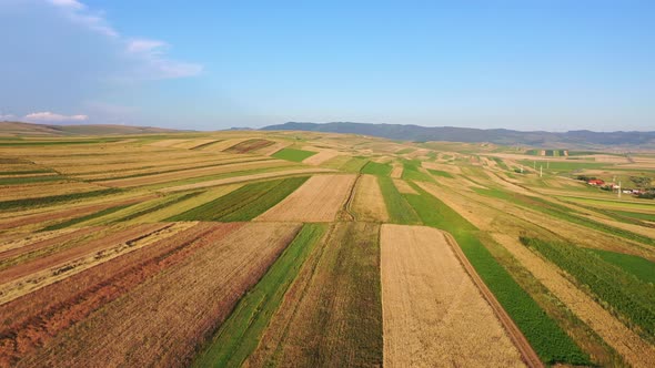 Flying over multicolored patchwork fields lit by warm sunshine, Romania