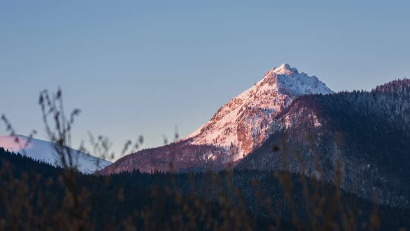 Mountain Forest Sunrise