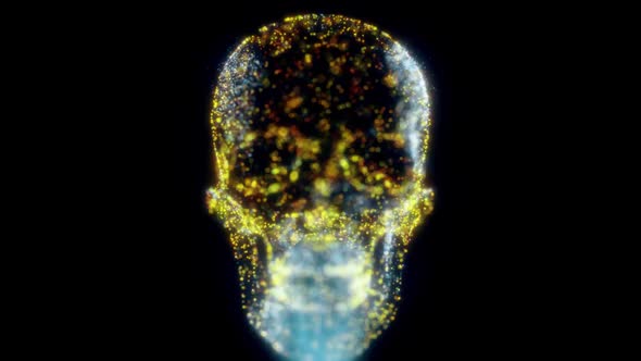 Creative Human Skull Scanning Hud Hologram Hd