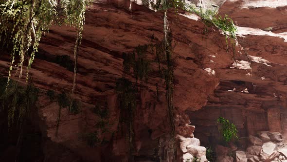 Inside a Limestone Cave with Plants and Sun Shine