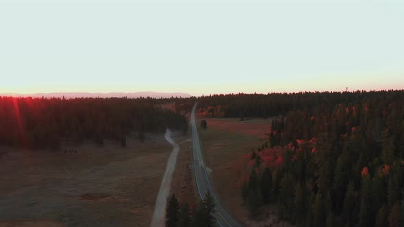 narrow country road through pine forest with autumn foliage, at sunset. Aerial drone view