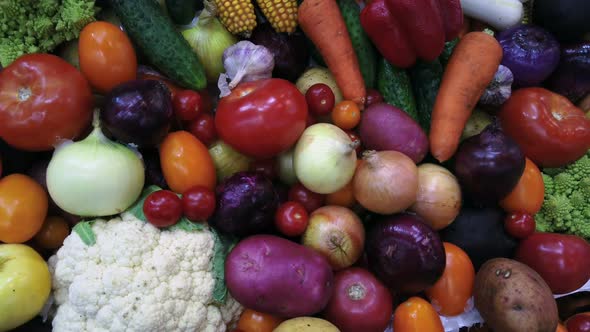 Autumn Harvest of Different Vegetables and Root Crops. Background of Vegetables.