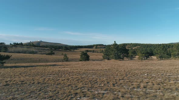 Grassy Hills With Coniferous Trees
