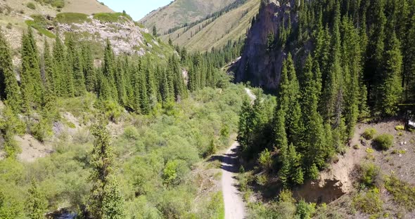 View of the Forest and Gorge From Above.