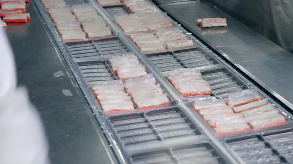 Packaging Process of Fish Products. Food Processing Factory Production Line.