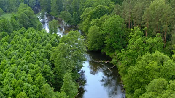 River and forest in Tuchola natural park, aerial view, Poland