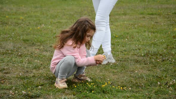 Child on Lawn with Flower