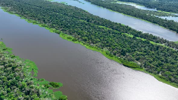 Stunning landscape of Amazon Forest at Amazonas State Brazil.