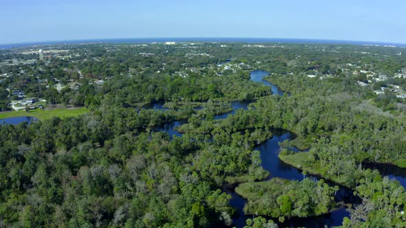 Aerial Pan of River Flowing Through Forest Near Small Town on the Golf of Mexico