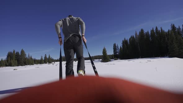 POV Snow Sled man pulling through nature.