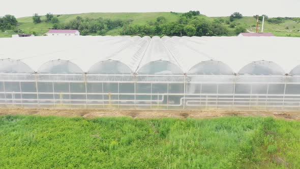 Greenhouse Farming and Agriculture Vegetable Farm