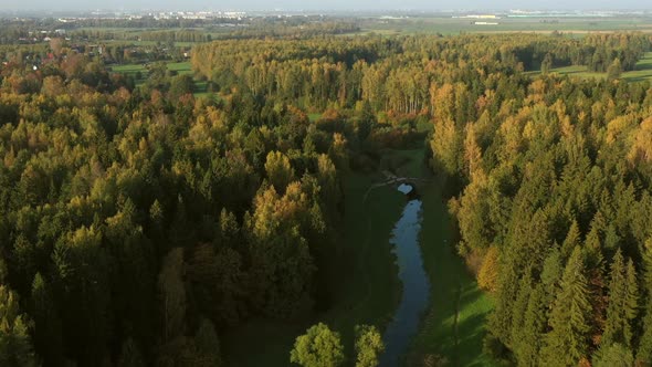 Autumn Forest with River View From Drone