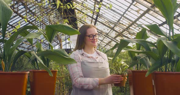 A Young Woman in Glasses in a Greenhouse Puts a Flower on the Table Looks at the Camera and Smiles