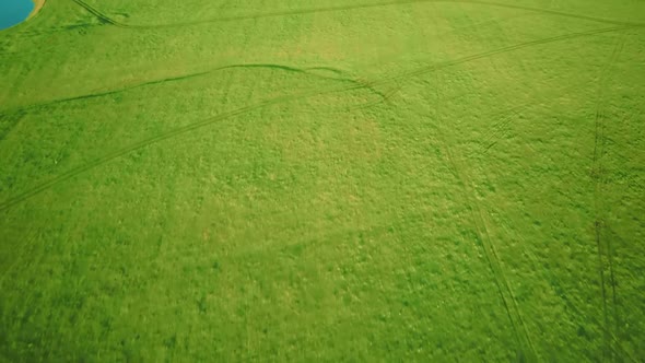 Aerial Video Flying Over Green Grass Field During Sunset in Spring Time