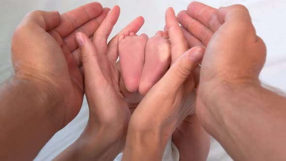 Baby Feet in Mother and Dads Hands. Tiny Newborn Baby.