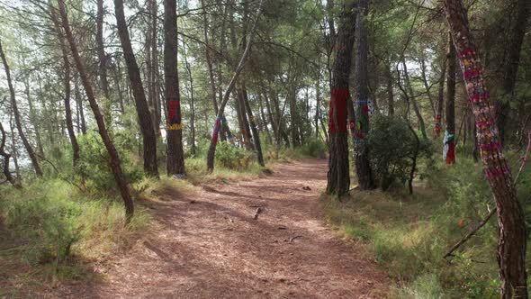 Walking through the Painted forest of Torre Dels Soldats near Avinyo on a sunny day - Barcelona