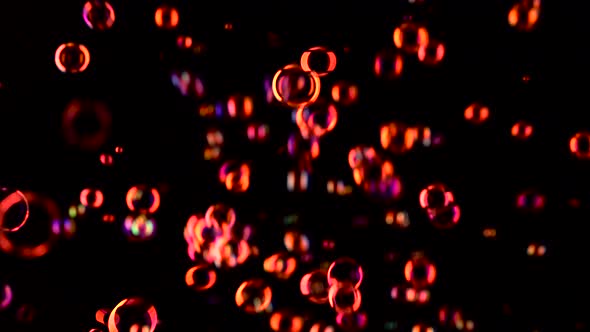 Red Soap Bubbles Fly in the Air. Black Background