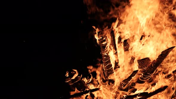 Big Bonfire Burns at Night in Slow Motion on a Black Background on Nature