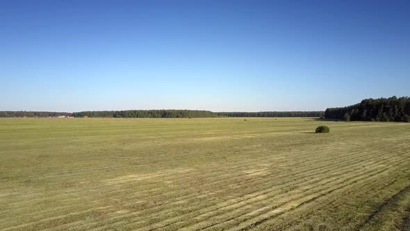 Landscape with Grass Field Against Forest Under Blue Sky