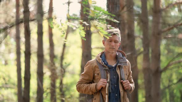 Hiker Overlooking Forest at Sunny Autumn Day