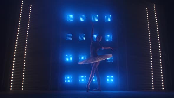 Pretty Ballet Dancer Gracefully Dancing. Ballet Rehearsal Before the Performance. Ballerina Does