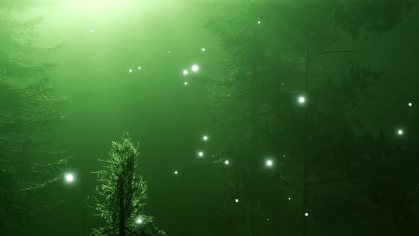 Magical Forest with Sparkles