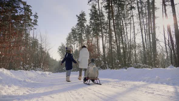 Woman with Children Go on a Snowy Road Through the Forest