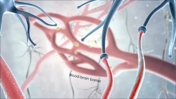 Endocannabinoid signaling system alt